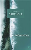 Przeznacze... - Katarzyna Grochola -  Polish Bookstore 