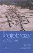 Krajobrazy... - Tadeusz Stryjakiewicz, Robert Traba, Violetta Julkowska -  Polish Bookstore 