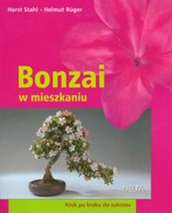 Obrazek Bonzai w mieszkaniu Krok po kroku do sukcesu