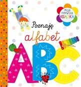 Moja pierw... - Opracowanie Zbiorowe -  foreign books in polish 