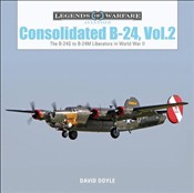 Książka : Consolidat... - David Doyle