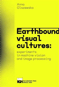 Obrazek Earthbound visual cultures