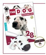 Zobacz : Dalmatyńcz...