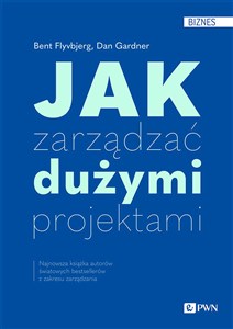 Obrazek Jak zarządzać dużymi projektami