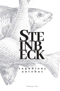 Obrazek Zagubiony autobus