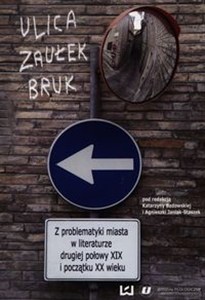 Obrazek Ulica zaułek bruk Z problematyki miasta w literaturze drugiej połowy XIX i początku XX wieku