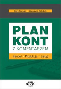 Obrazek Plan kont z komentarzem Handel Produkcja Usługi