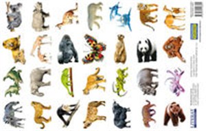 Picture of Naklejki Zwierzęta świata