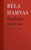 polish book : Godzina ow... - Bela Hamvas