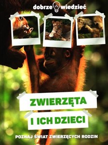 Obrazek Zwierzęta i ich dzieci Dobrze wiedzieć