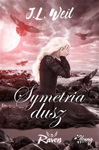 Obrazek Raven Tom 3 Symetria dusz