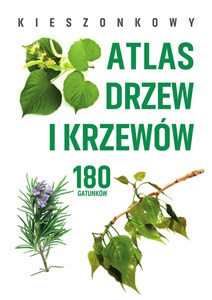 Obrazek Kieszonkowy atlas drzew i krzewów. 180 gatunków