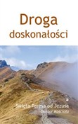 Droga dosk... -  books in polish 