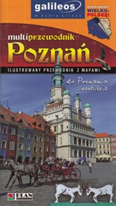 Obrazek Poznań