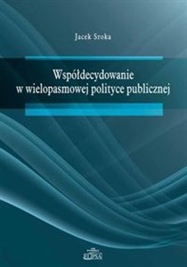 Obrazek Współdecydowanie w wielopasmowej polityce publicznej