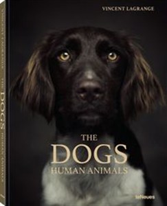 Obrazek The Dogs Human Animals