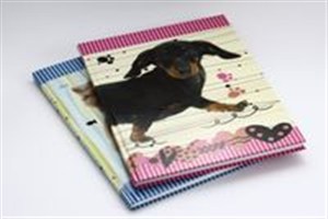 Picture of Brulion A4 w kratkę 96 kartek mix