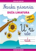 Książka : Nauka pisa... - Beata Guzowska