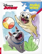 Disney Jun... -  books in polish 