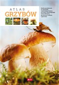 polish book : Atlas grzy... - Wiesław Kamiński