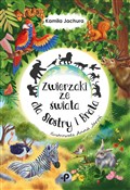 Książka : Zwierzaki ... - Kamila Jachura