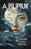 Drogi prze... - Andrzej Pilipiuk -  books in polish 