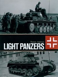 Picture of Light Panzers