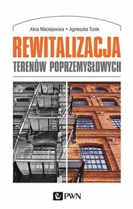 Obrazek Rewitalizacja terenów poprzemysłowych