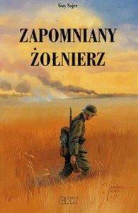 Obrazek Zapomniany żołnierz