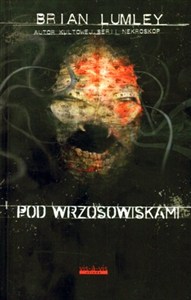 Obrazek Pod wrzosowiskami
