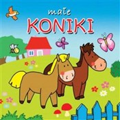 Zobacz : Małe konik... - Opracowanie Zbiorowe
