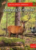 Zobacz : Encykloped... - Elżbieta Zarych