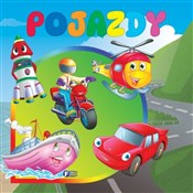 Pojazdy -  books from Poland