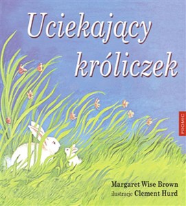 Obrazek Uciekający króliczek