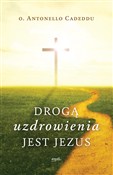 polish book : Drogą uzdr... - Antonello Cadeddu