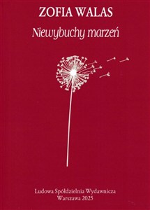 Obrazek Niewybuchy marzeń