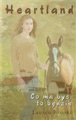 Zobacz : Heartland ... - Lauren Brooke