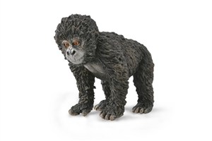 Obrazek Mountain Gorilla Baby