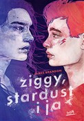 polish book : Ziggy, Sta... - James Brandon