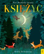 Polska książka : Księżyc - Patricia Hegarty