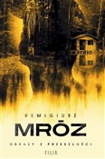 polish book : Obrazy z p... - Remigiusz Mróz