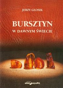 Picture of Bursztyn w dawnym świecie