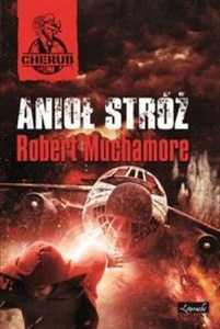 Obrazek Anioł Stróż