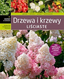 Obrazek Drzewa i krzewy liściaste