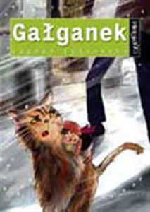 Obrazek Magnes Gałganek