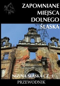Obrazek Zapomniane miejsca Dolnego Śląska Nizina śląska Część 1