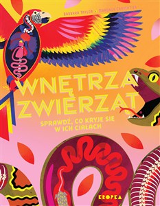 Obrazek Wnętrza zwierząt