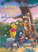 polish book : Przyjaźń w... - Catherine Hapka