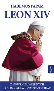 Obrazek Habemus Papam Leon XIV