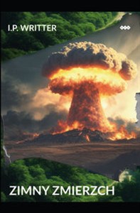 Picture of Zimny zmierzch Gdy serce śpi, budzą się demony